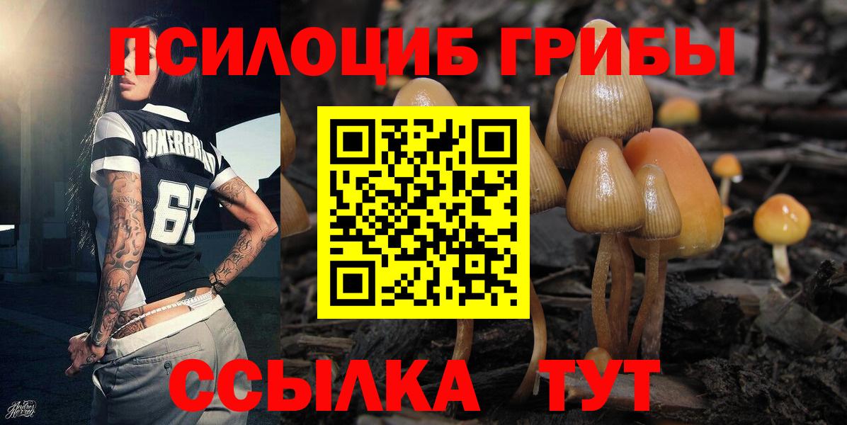 Старая Купавна  Галлюциногенные грибы ЛСД  Галлюциногенные грибы Psilocybine cubensis  Вход с VPN 