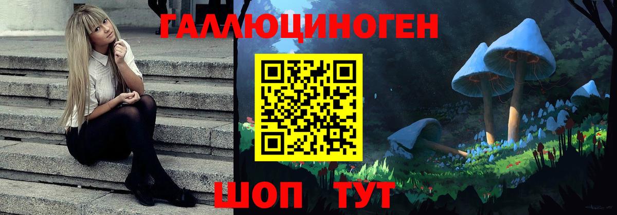 Галлюциногенные грибы Psilocybe Старая Купавна